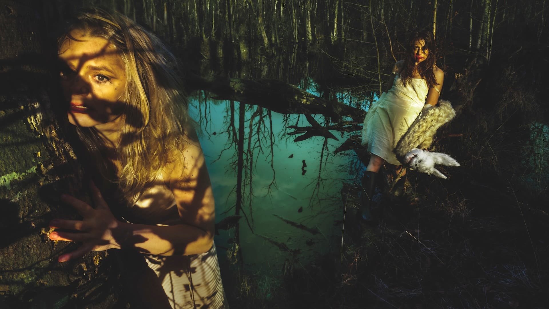 THE SWAMP