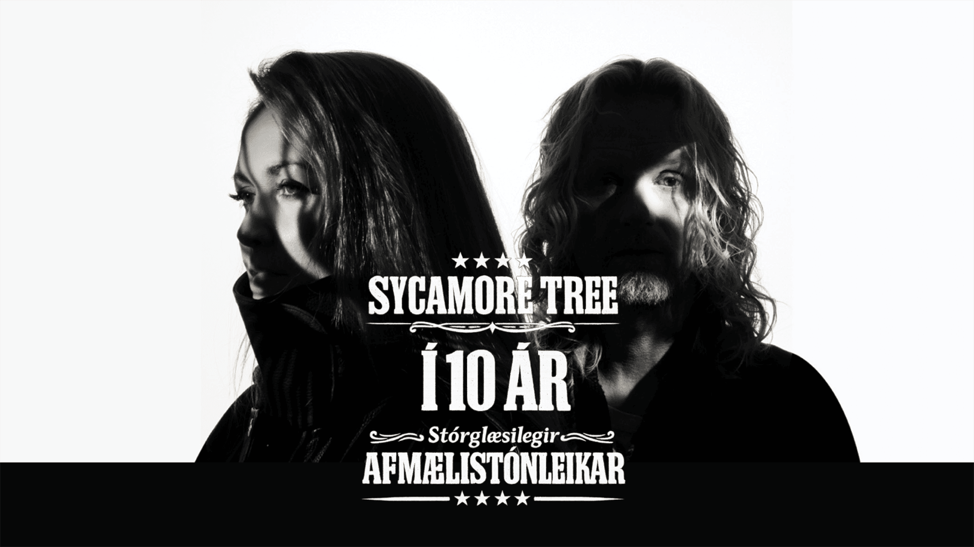 Sycamore Tree