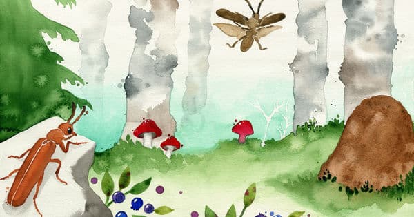 The Secret Life of Insects