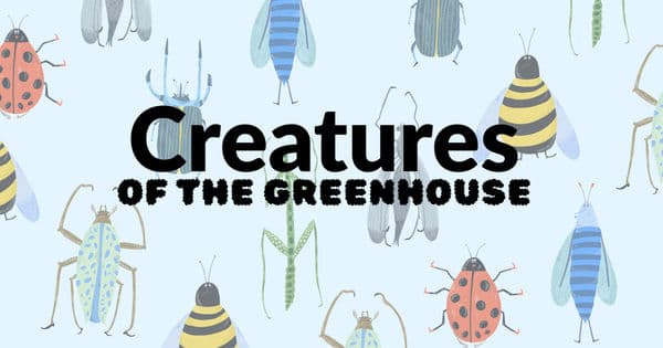 Creatures of the greenhouse - Menningarnótt 2026