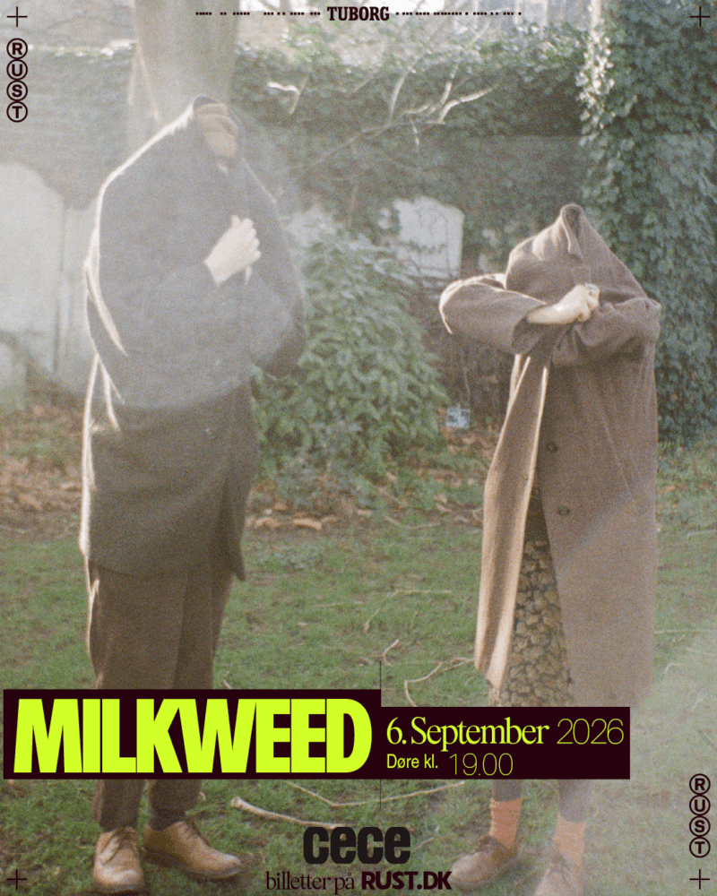 Milkweed (UK)