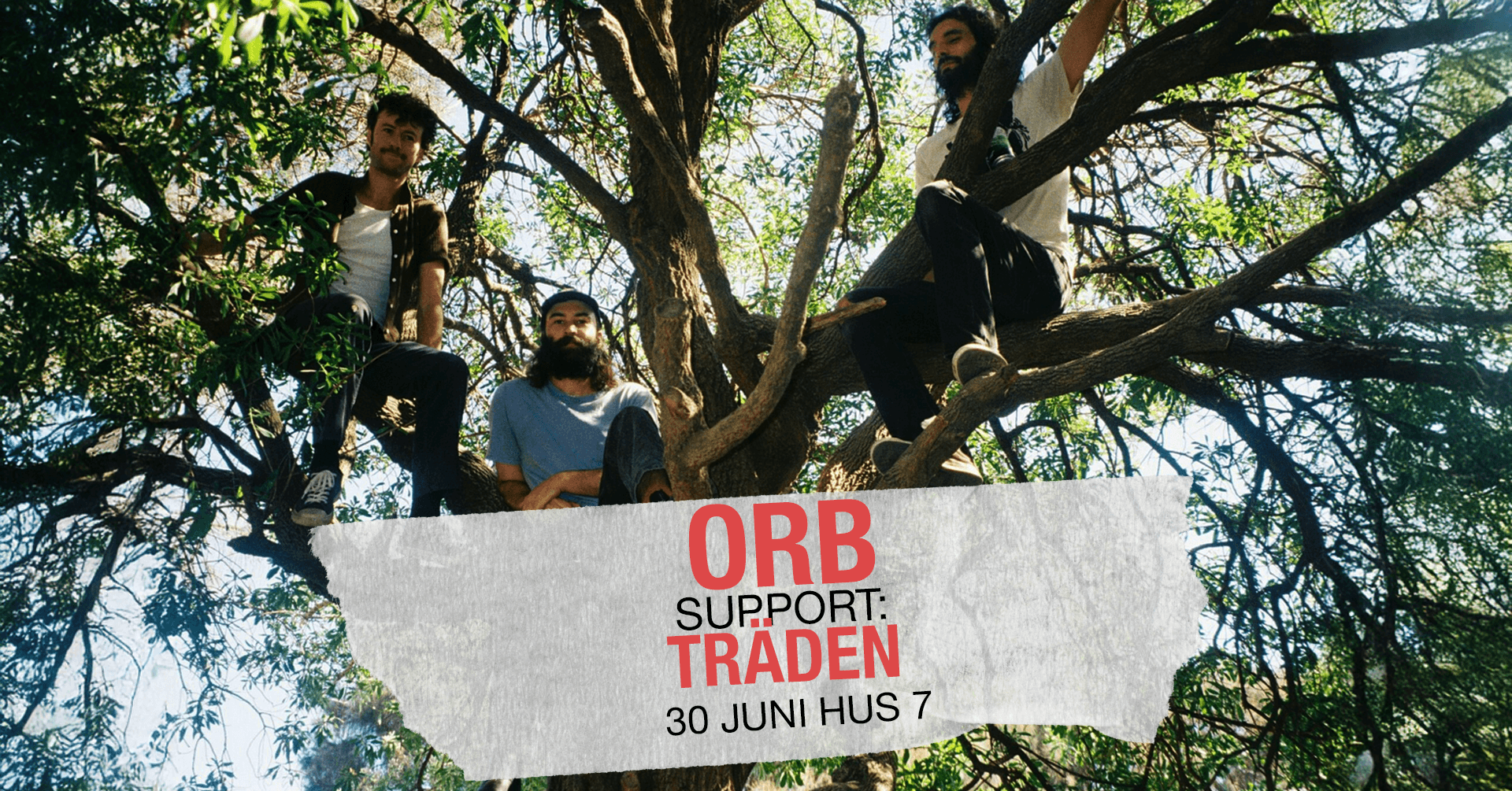 ORB + Träden