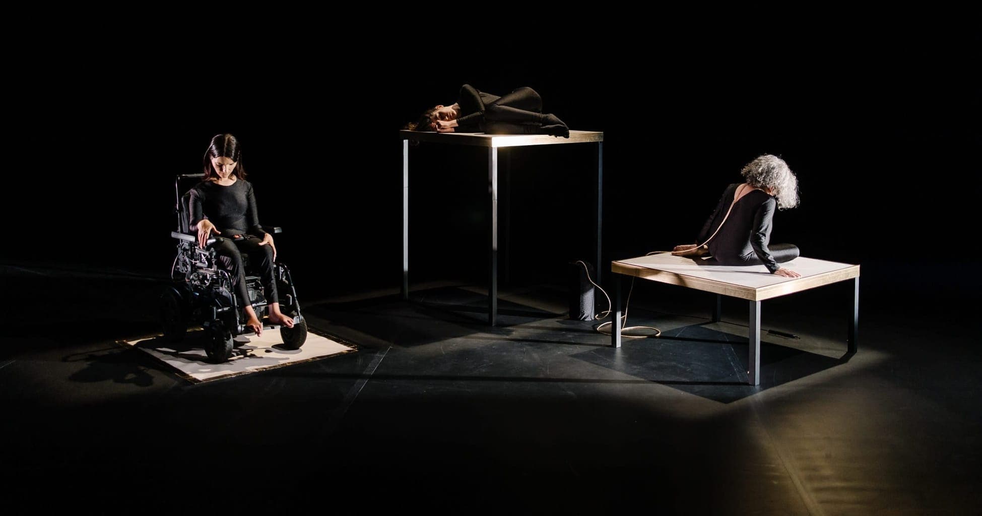 Michel – The Animals I Am