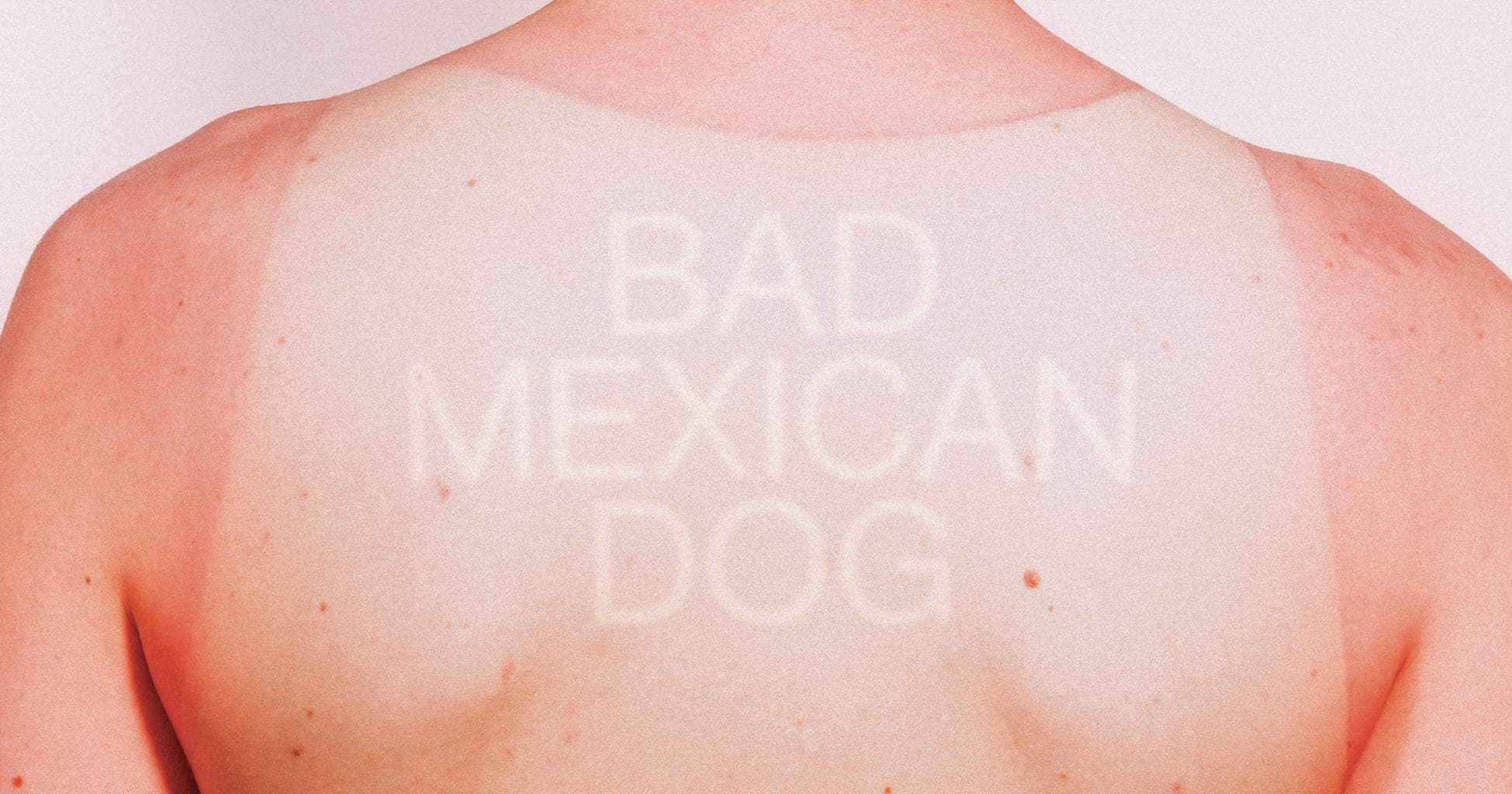 BAD MEXICAN DOG